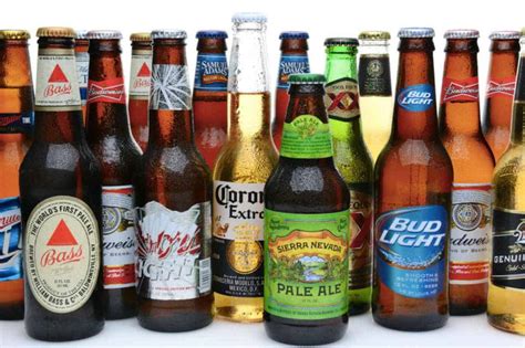 Light Beer 101: History, Taste, Flavor Profile & Best Brands