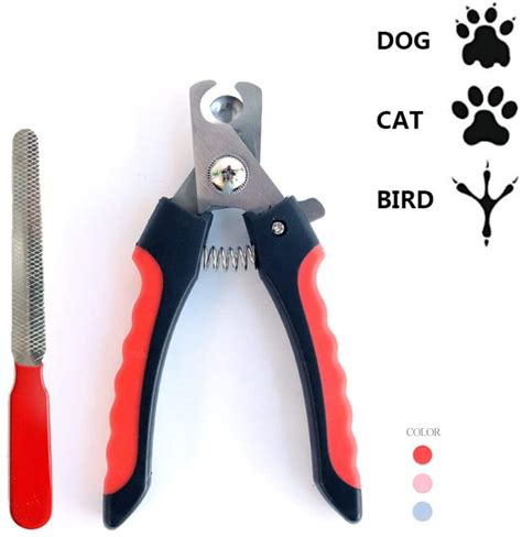 10 Best Cat Nail Clippers - I Love My Sweet Cats