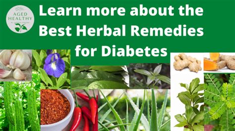 10 Natural Herbal Remedies for Diabetes - Herbal Medicines