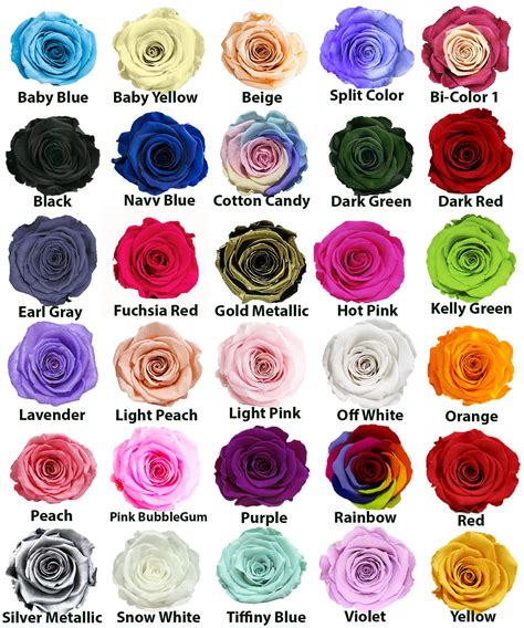 Rose Colors - dluxroses.com