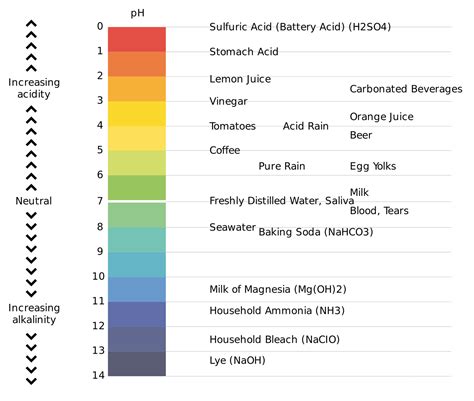 Ph Scale Examples