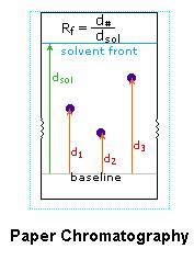 👍 Rf value of amino acids by paper chromatography. What is Paper Chromatography? Principle and ...