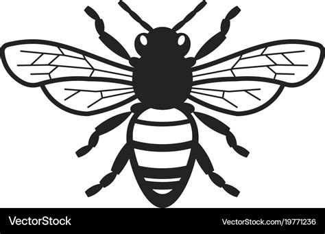 Honey bee Royalty Free Vector Image - VectorStock