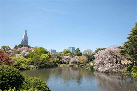 The 10 Best Parks in Tokyo