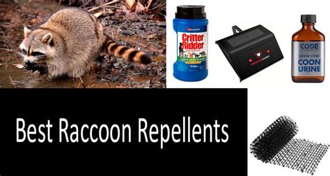 Top-10 Raccoon Repellents from $8 to $54