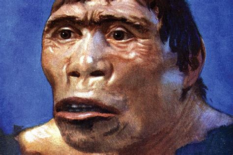 Fosil pithecanthropus erectus ditemukan pertama kali oleh | Villager