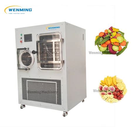 Commerical Freeze Dry Food Machine freeze drying system – WM machinery