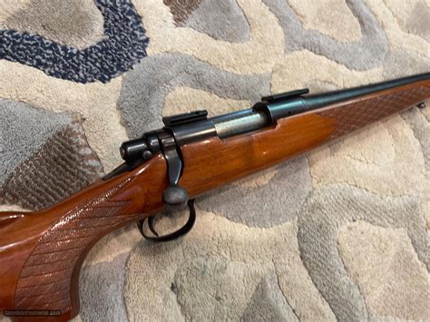 Remington 700 ADL 22-250 cal rifle Walnut stock bolt action rifle great Extremely accurate