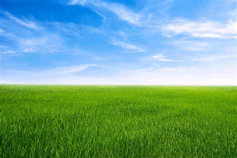 green grass field with blue sky ad white cloud. nature landscape background 7449111 Stock Photo ...