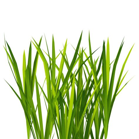 Cartoon Grass Texture - ClipArt Best