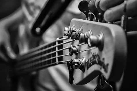 HD wallpaper: bass guitar, cable, chords, concert, electric bass ...