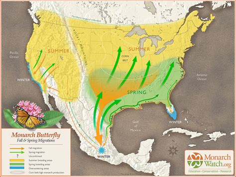 Monarch Watch » Blog Archive Two-way Monarch Migration Map - Monarch Watch