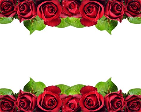 Red Roses Border Png - Red Roses Border Design Hd - Free Transparent ...