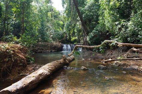 Exploring Cambodia's Wild East - Mondulkiri | Apenoni