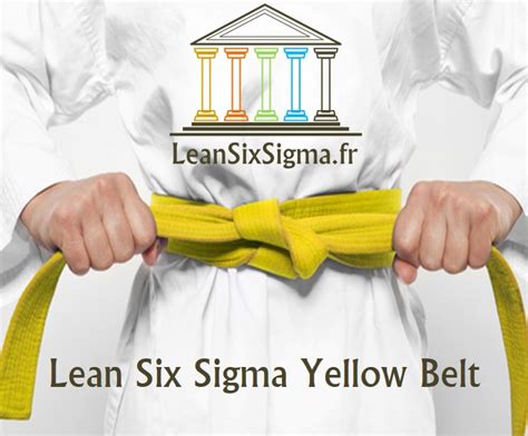 Lean-Six-Sigma-Certification-formation-Yellow Belt - Lean Six Sigma Belgium