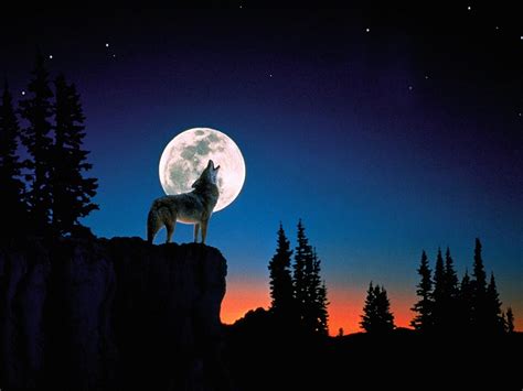 Wolf Moon Minimalist Wallpapers - Wallpaper Cave