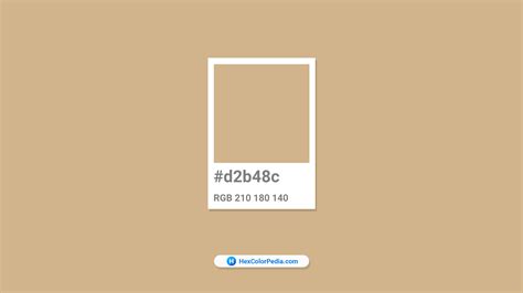 What is the color of Tan | Hexcolorpedia