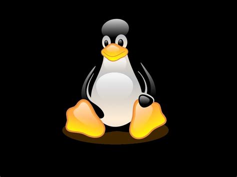 🔥 [50+] Linux Penguin Wallpapers | WallpaperSafari