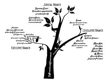 Three Branches of U.S. Government Tree Diagram by myrapunzal | TpT