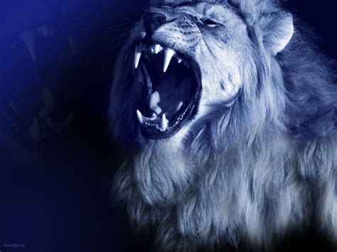 Blue Lion Wallpapers - Top Free Blue Lion Backgrounds - WallpaperAccess