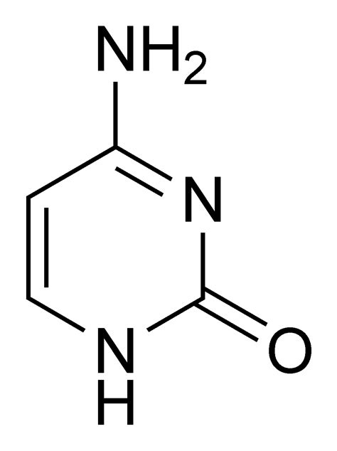 Pyrimidine - wikidoc