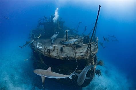 Bahamas Shipwreck Map