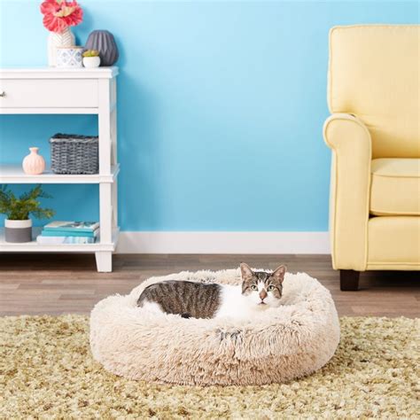 6 Best Cat Beds For Large Cats In 2023 - Cat Mania