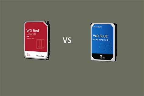 WD Red vs Blue: What’s the Difference and Which One Is Better?