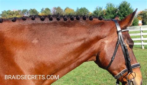 Expert Tips on How to Create the 3 Easiest Mane Braids - Horse Rookie