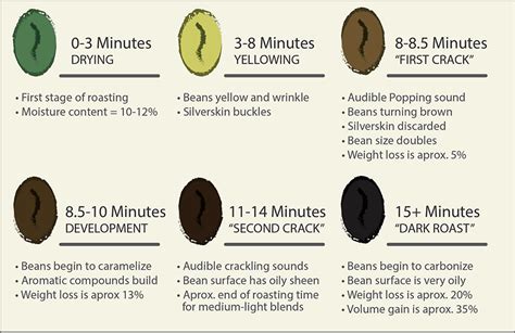 How Coffee Changes During The Roasting Process - Associated Coffee