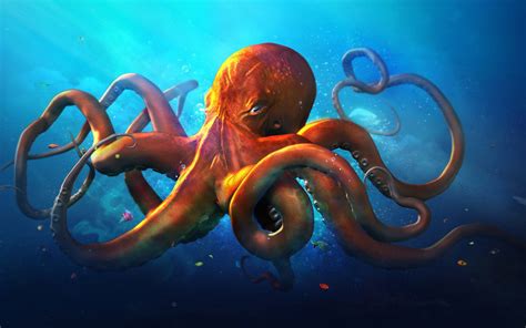 Cute Octopus Wallpaper (43+ images)