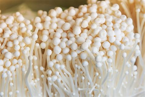 Premium Photo | Enoki mushroom, golden needle mushroom