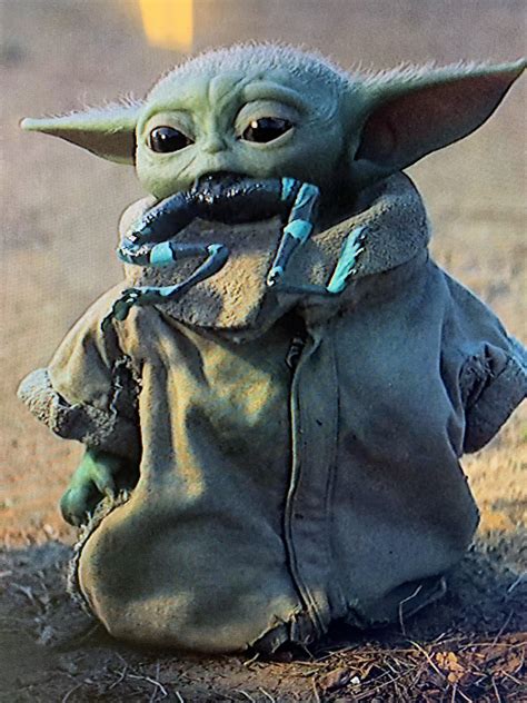 Baby Yoda likes frogs | /r/BabyYoda | Baby Yoda / Grogu | Know Your Meme