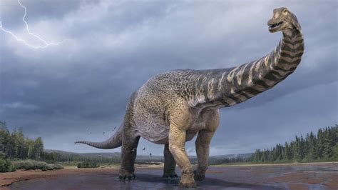 Australia’s incredible ‘dinosaur boom’ drives tourists to central Qld | news.com.au — Australia ...