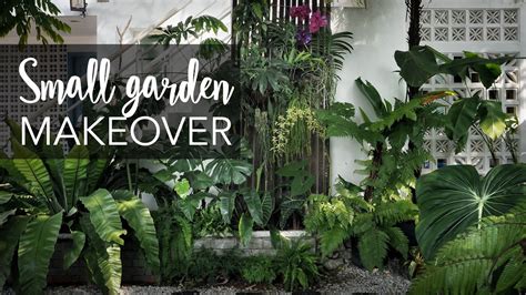 Small tropical garden (20sqft) makeover with 10 Pro Gardening Tips ...