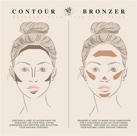 Contour vs Bronzer | Face contouring makeup, Bronzer makeup, Beauty makeup tips