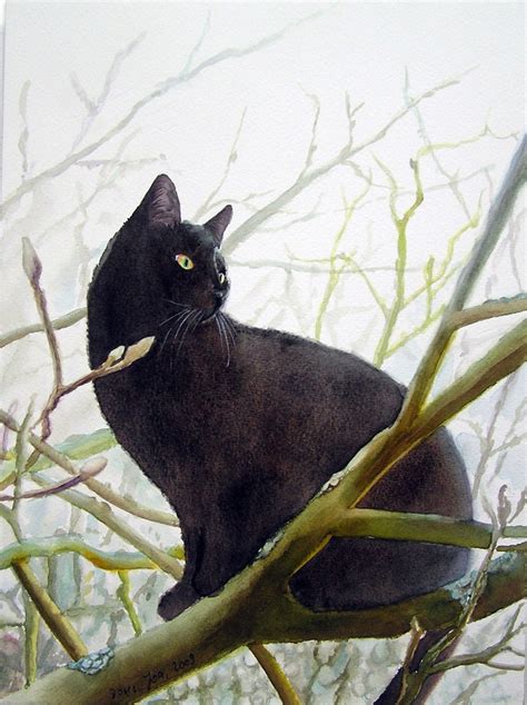 Cat Paintings in watercolor, Cats, Kittens,