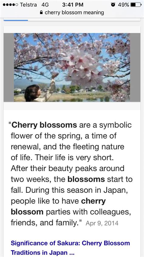 Cherry blossom meaning | Cherry blossom meaning, Cherry blossom tattoo meaning, Meant to be