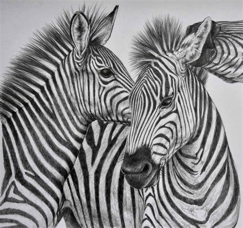 40 Beautiful and Realistic Animal Sketches - Tail and Fur