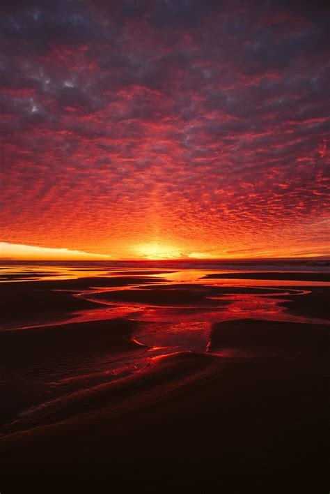 Sunset on the Oregon Coast Beach. Nature Photography. | Oregon coast, Nature photography, Sunset