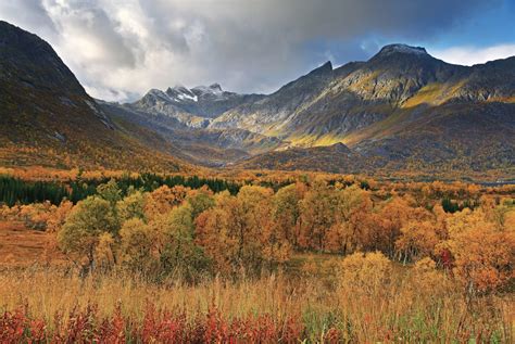 Picture of the Day: Autumn in Norway » TwistedSifter