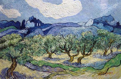 The Olive Trees Painting by Vincent Van Gogh Reproduction | iPaintings.com