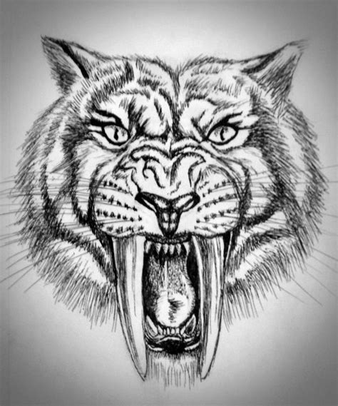 Sketch of a sabertooth tiger in pen. Freehand, based on conceptual artwork. Vignette added with ...