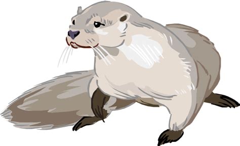 Download High Quality otter clipart river Transparent PNG Images - Art Prim clip arts 2019