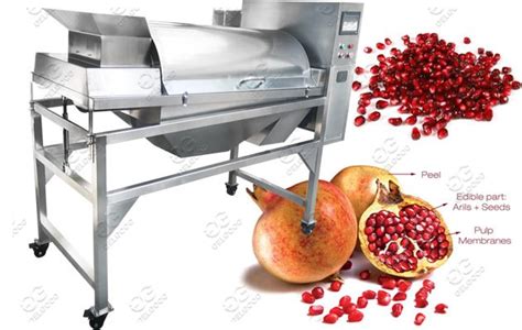 Industrial Use Pomegranate Juice Making Machine Line