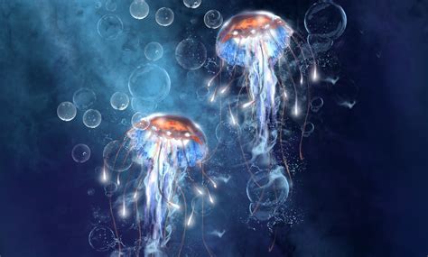 Jellyfish Full HD Wallpaper and Background | 3000x1804 | ID:290263