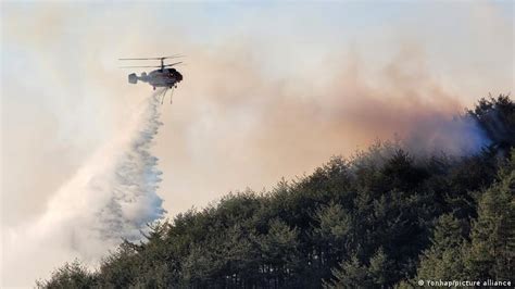 South Korea: Wildfire triggers mass evacuation | News | DW | 05.03.2022