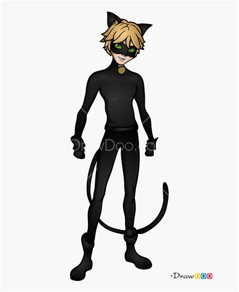 Transparent Catwoman Clipart - Miraculous Ladybug Cat Noir Png, Png ...