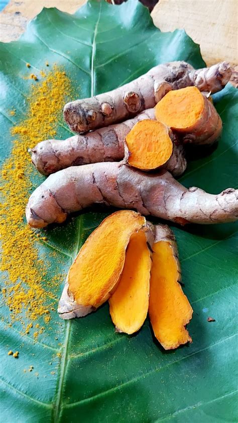 Turmeric / Curcuma | Inaexport