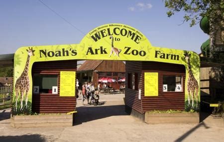 Noah's Ark Zoo Farm, Bristol | Ticket Price | Timings | Address: TripHobo